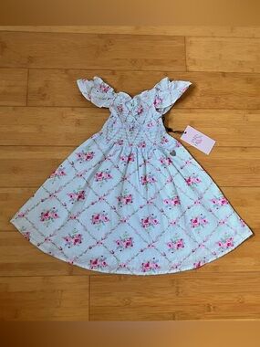 Paris Hilton Light Blue Floral Smocked Dress with Pink Roses